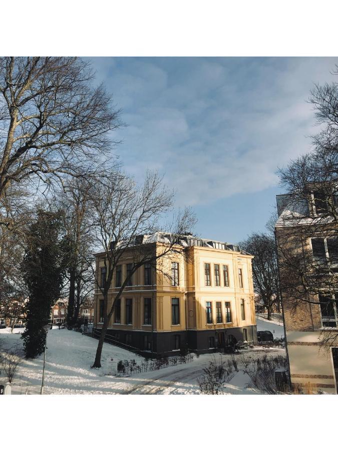 Lovely, 1898 Jugendstil Design Apartment, Old Haarlem City Centre, Fully Renovated With Parkview Near Amsterdam And Zandvoort, Bloemendaal Beach Εξωτερικό φωτογραφία