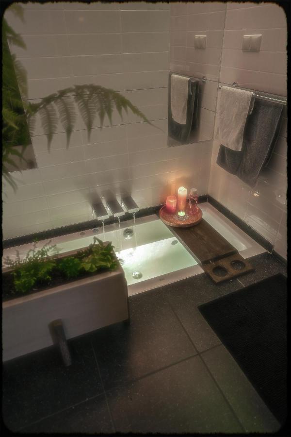 Lovely, 1898 Jugendstil Design Apartment, Old Haarlem City Centre, Fully Renovated With Parkview Near Amsterdam And Zandvoort, Bloemendaal Beach Εξωτερικό φωτογραφία