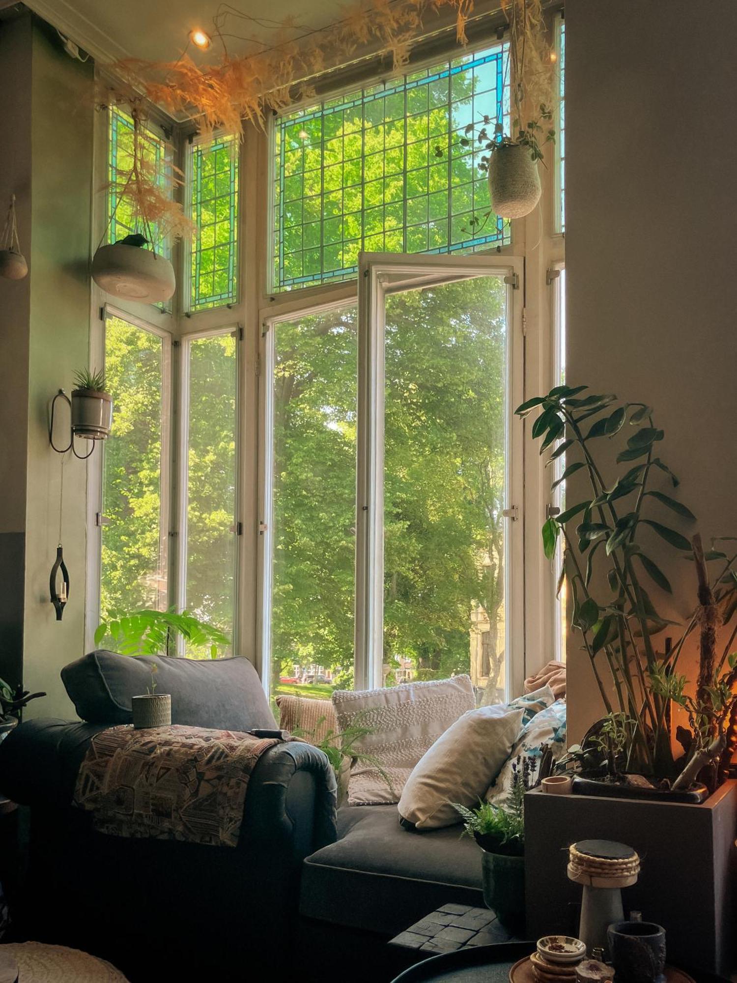 Lovely, 1898 Jugendstil Design Apartment, Old Haarlem City Centre, Fully Renovated With Parkview Near Amsterdam And Zandvoort, Bloemendaal Beach Εξωτερικό φωτογραφία