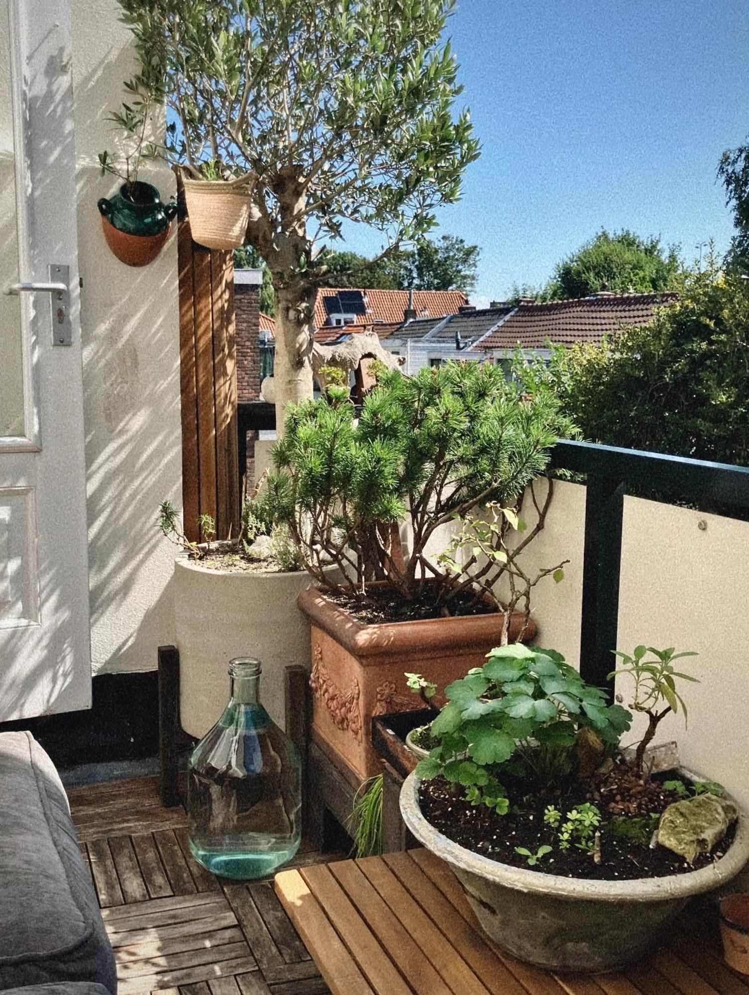 Lovely, 1898 Jugendstil Design Apartment, Old Haarlem City Centre, Fully Renovated With Parkview Near Amsterdam And Zandvoort, Bloemendaal Beach Εξωτερικό φωτογραφία